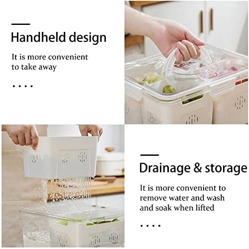 علبة ومنظم ثلاجة اكليريك مع 3 علب بمصفاه لحفظ الخضروات والفاكهه بغطاء محكم الغلق - الصورة 3