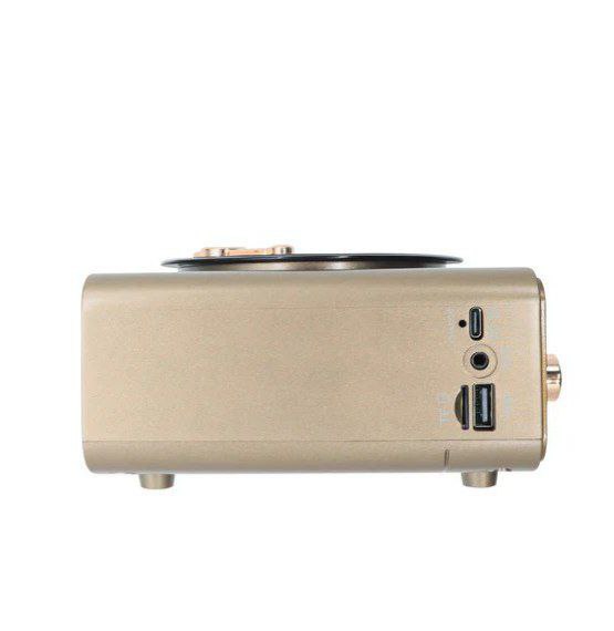 راديو بتصميم جرامافون كلاسيكي قابل للشحن بيو إس بي - الصورة 6